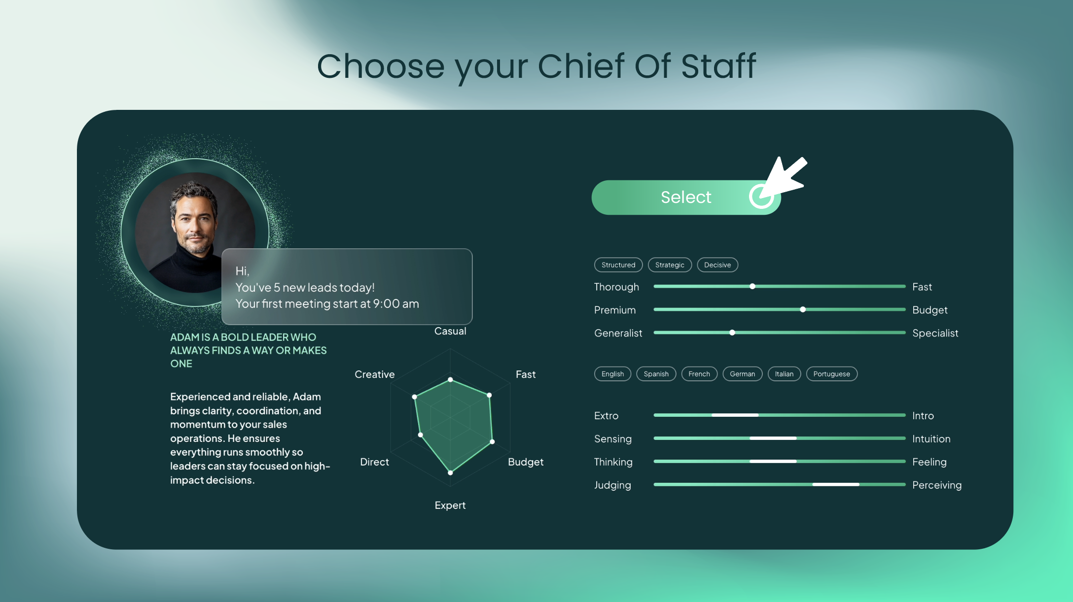 DataChi sales dashboard showing AI-generated deal summaries and pipeline
